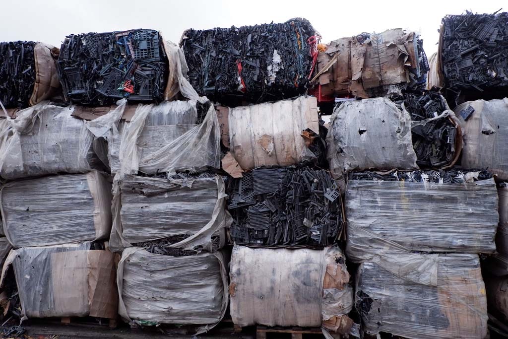 Как в Новосибирске проходит акция по раздельному сбору отходов - фото 3