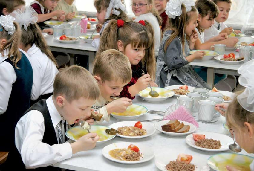 Правительство поддержало законопроект о горячем питании школьников - фото 1