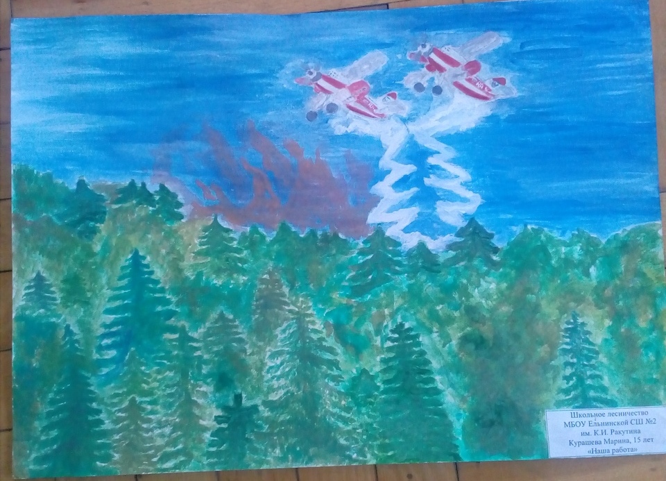 Смоленские школьники участвуют в конкурсе рисунков о деятельности лесных пожарных - фото 2