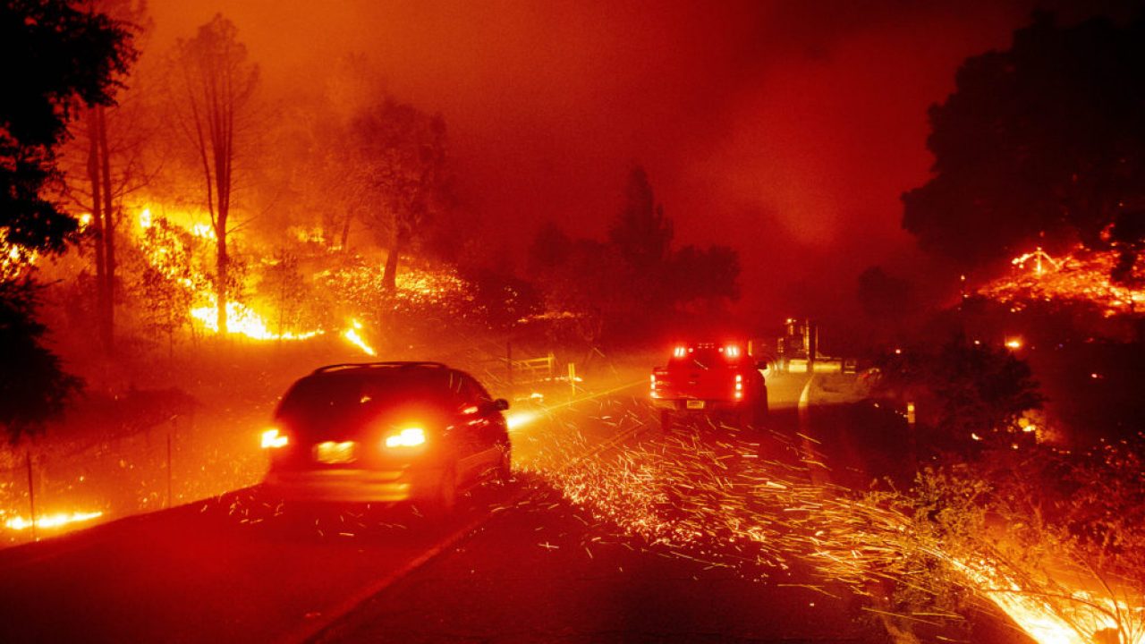 В Калифорнии из-за лесного пожара «Кинкейд» объявлена эвакуация около 180 тысяч человек - фото 1