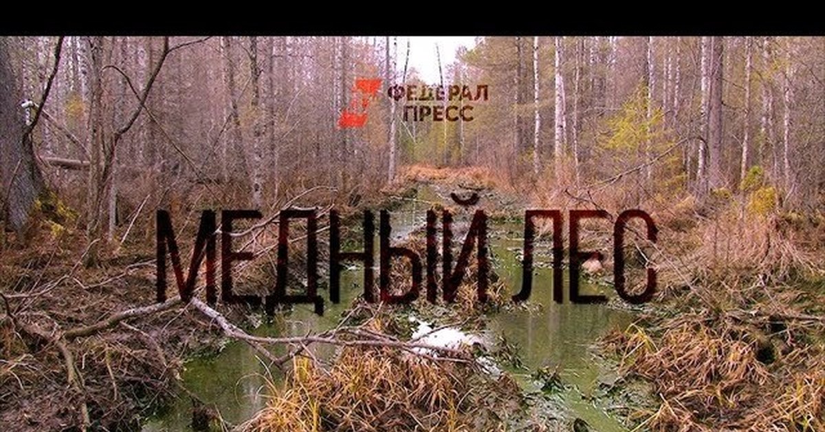 Реки севера Свердловской области находятся на грани экологического бедствия - фото 1