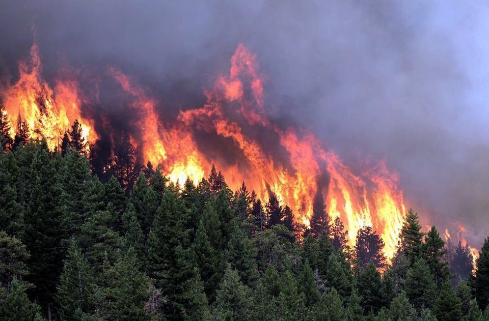 Пожары бушуют в Приморье - фото 1