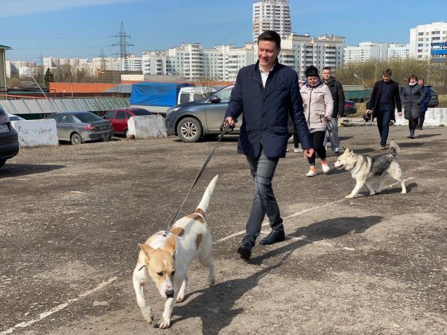 Московские единороссы передали «Приюту для бездомных животных ЮЗАО» более тонны кормов для собак - фото 2