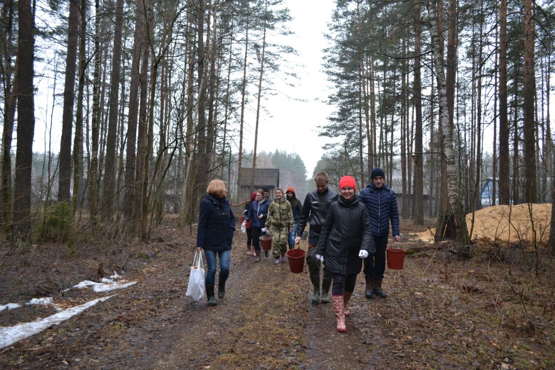 Владимирские специалисты лесного хозяйства провели традиционную акцию «Все начинается с семени!» - фото 4