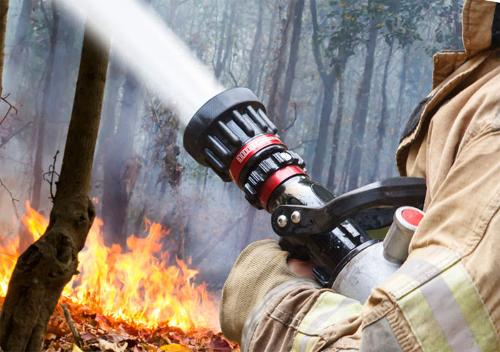 Лесопожарная служба Смоленской области подвела итоги пожароопасного сезона - фото 1