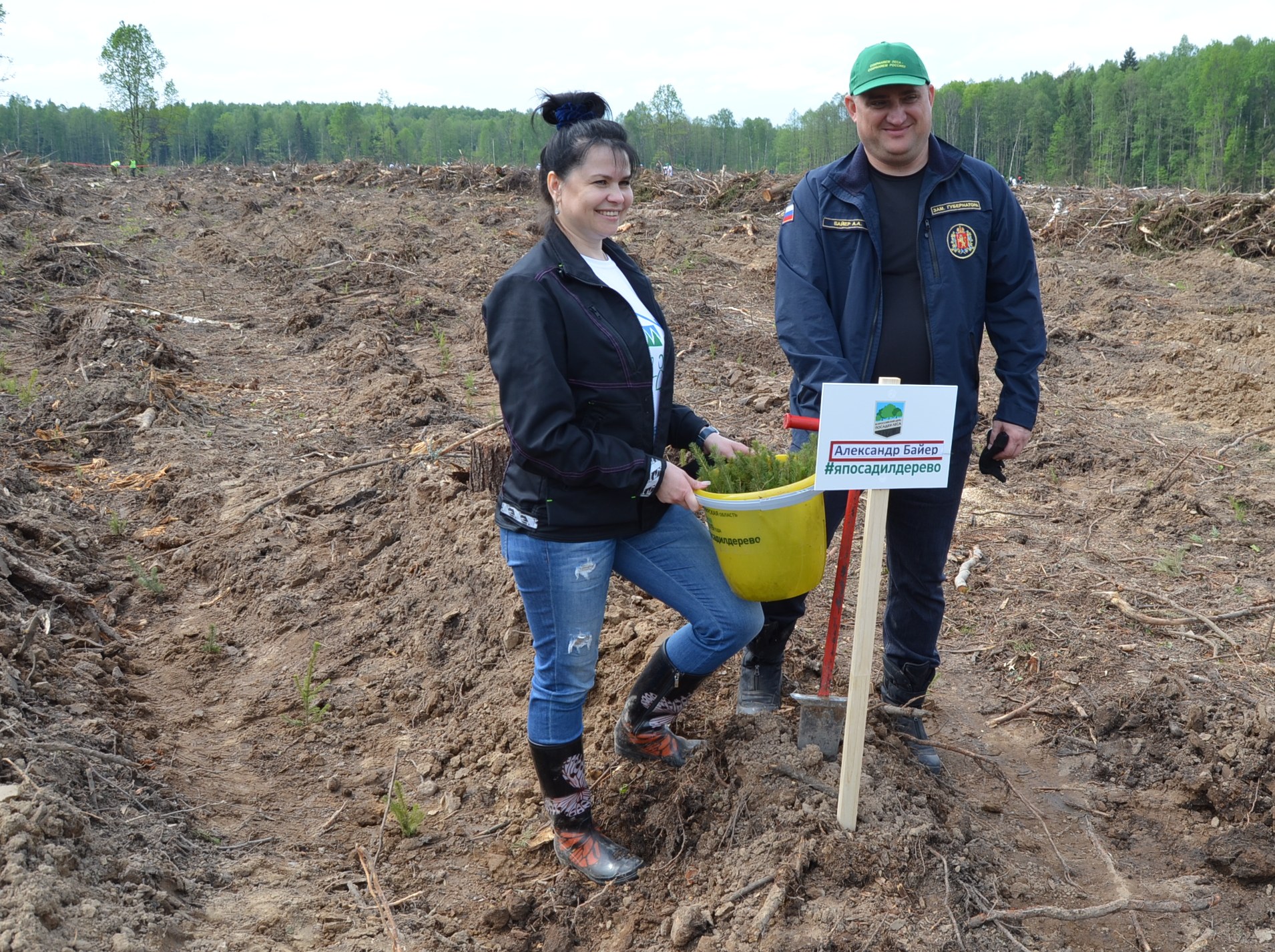 В Киржачском районе Владимирской области на месте сплошной вырубки леса посадили молодые ели - фото 1