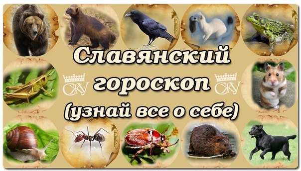  Славянский гороскоп на 2016 год - фото 1