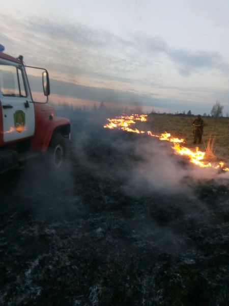 Патрульная группа Лесопожарной службы Смоленщины предотвратила лесной пожа - фото 1