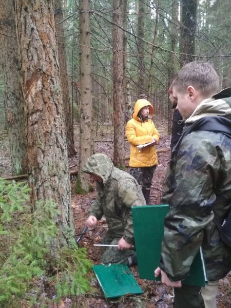 В Брянской области состоялась коллективная тренировка перед проведением лесоустроительных работ - фото 1