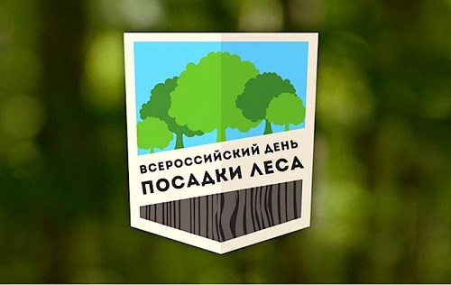 В Курской области дан старт Всероссийскому дню посадки леса - фото 1