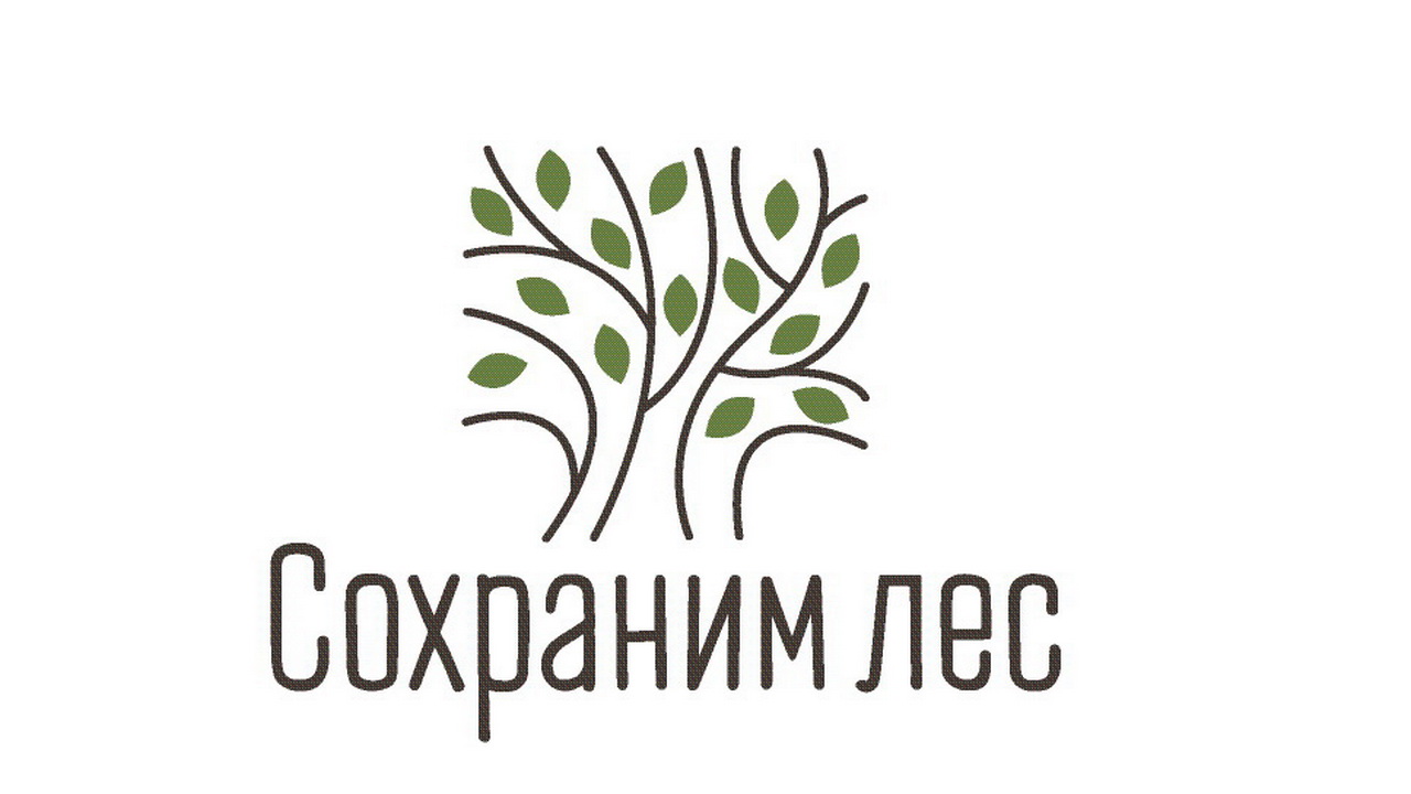В Брянской области подведены итоги Всероссийской кампании «Сохраним лес»  - фото 1