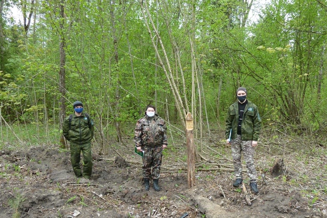 Акция «Лес Победы» прошла в Галичском лесничестве Костромской области - фото 1